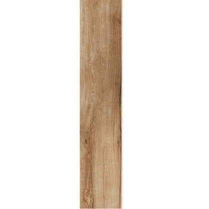 Tavola